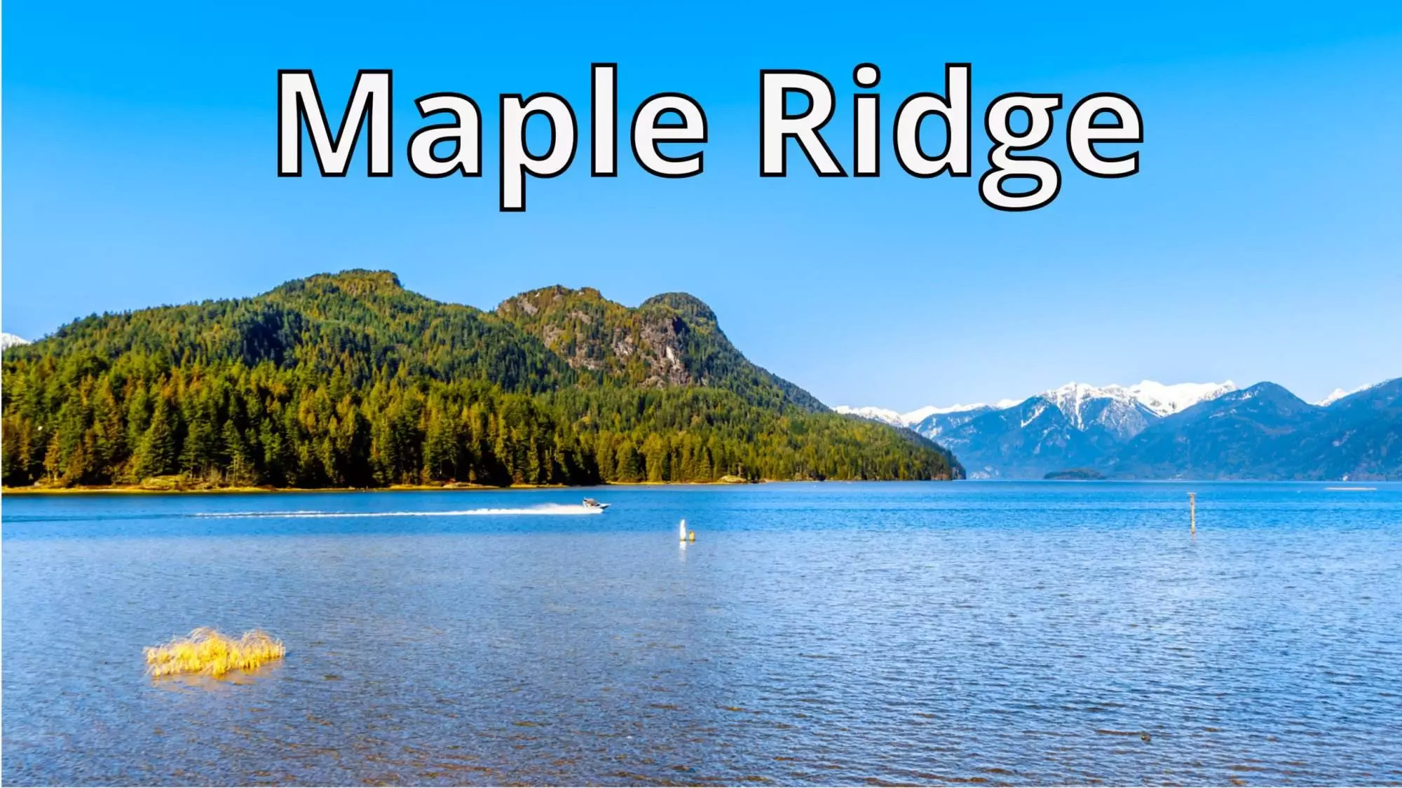 Maple Ridge Listings